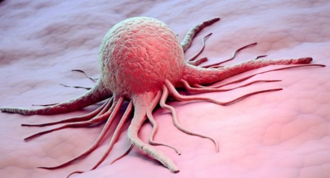 Ученые выяснили, как можно предотвратить развитие рака
